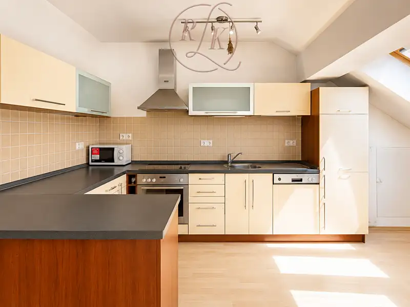 Prodej bytu 5+kk 178 m², Brno – náhled fotky 3