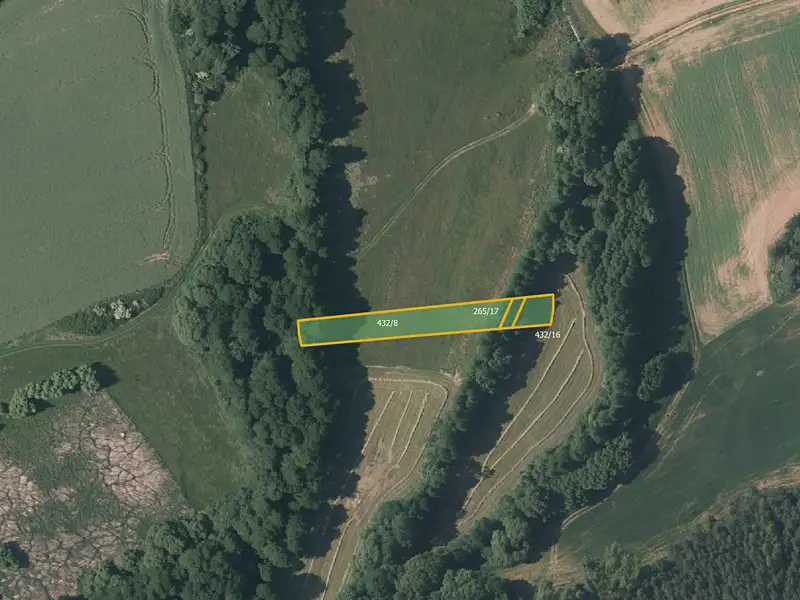Prodej pole 23844 m², Kralovice – náhled fotky 3