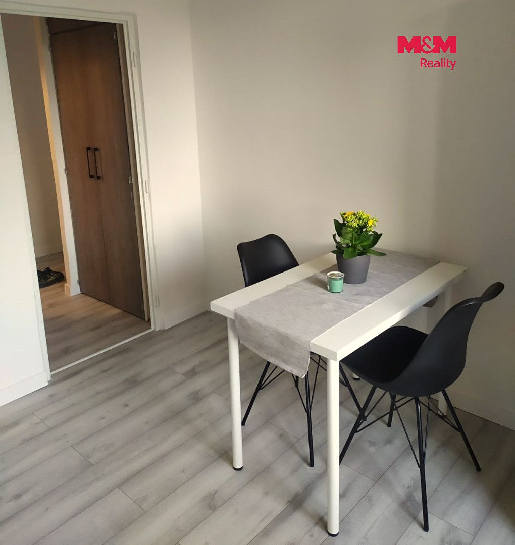 Pronájem bytu 1+1 39 m² – fotografie 3