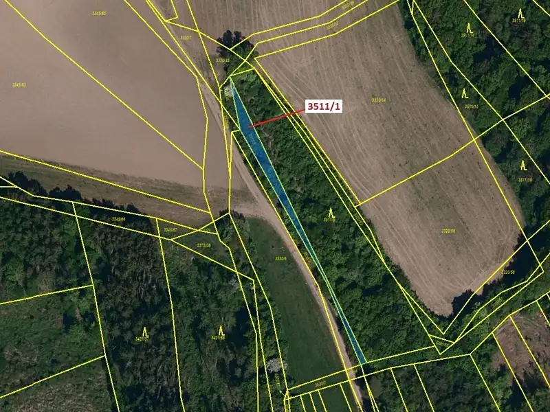 Dražba lesa 420 m², Bojkovice – náhled fotky 2
