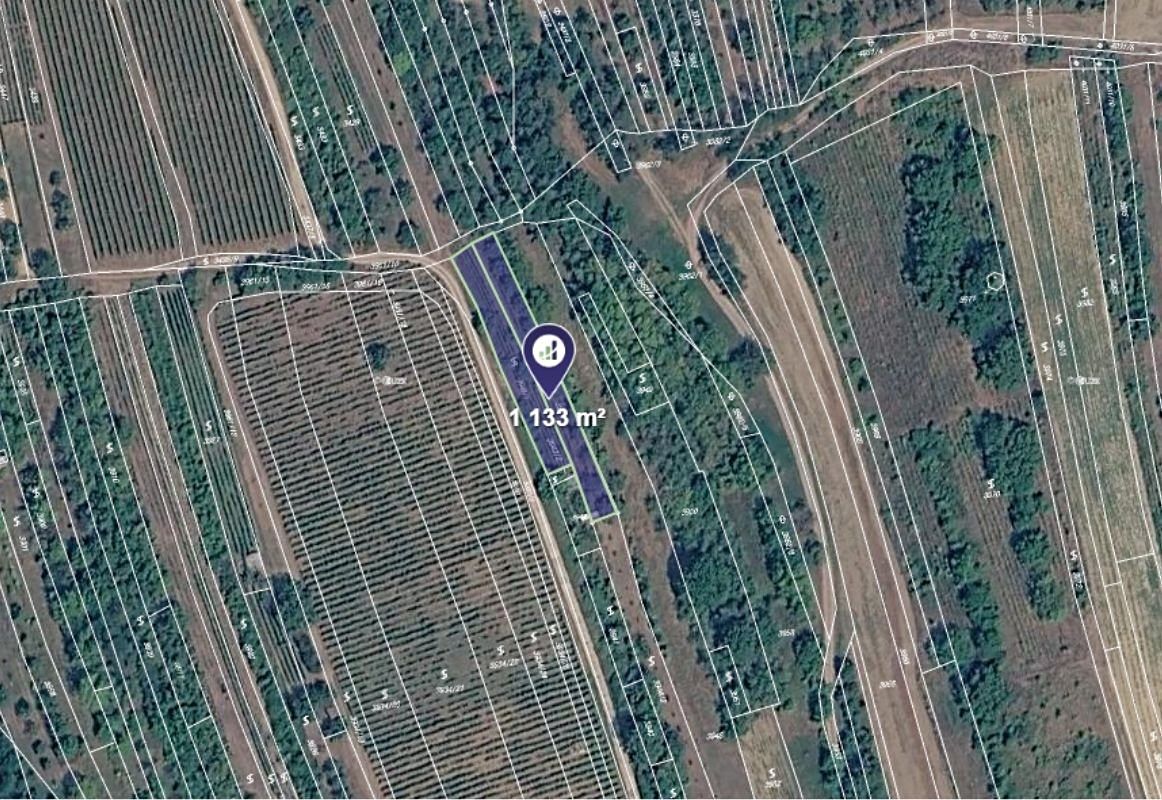 Prodej sadu, vinice 1133 m², Bzenec – fotka 1 z 3