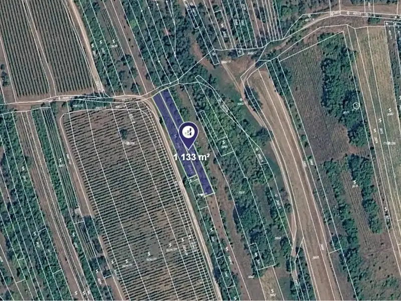 Prodej sadu, vinice 1133 m², Bzenec – náhled fotky 1