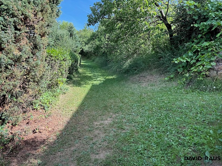 Ostatní
