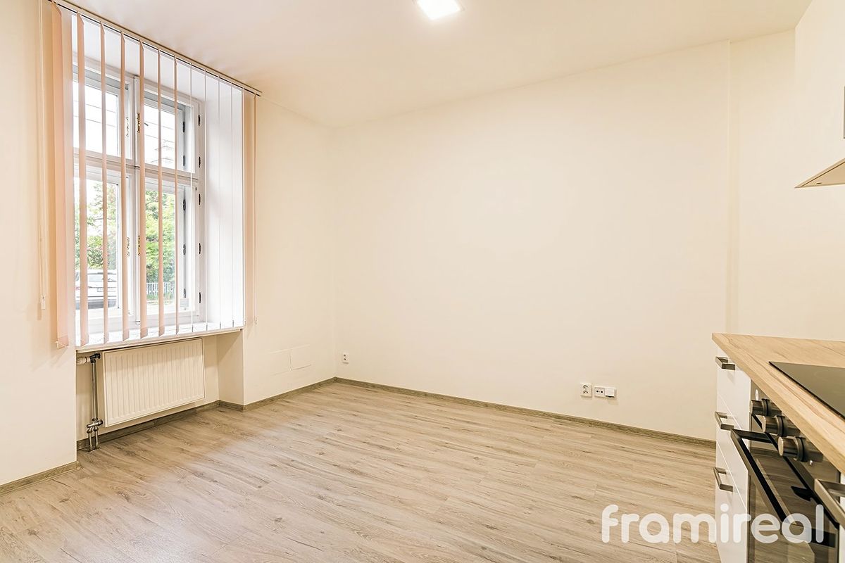 Pronájem bytu 1+kk 20 m² – fotografie 4