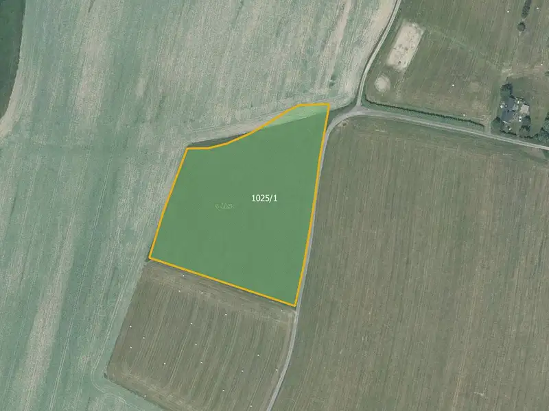 Prodej louky 16501 m², Nové Lublice – náhled fotky 1