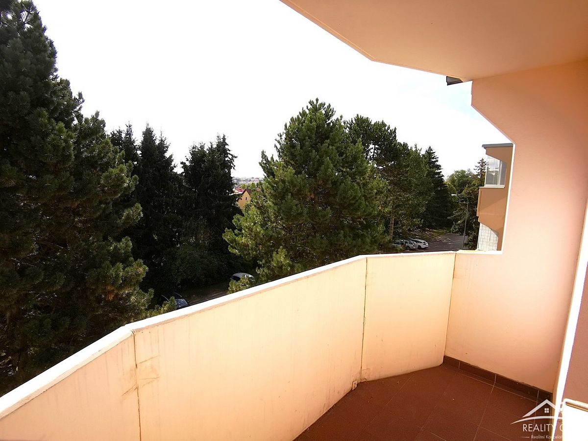 Prodej bytu 1+1 33 m² – fotografie 3
