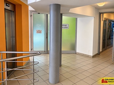 Pronájem komerčního prostoru, 30 m² (3 z 9)