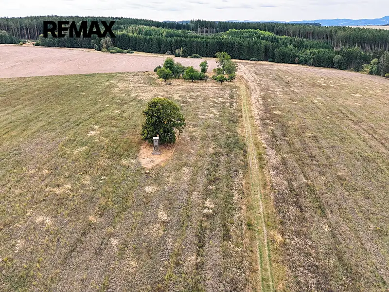Prodej stavebního pozemku 3633 m², Ošelín – náhled fotky 3