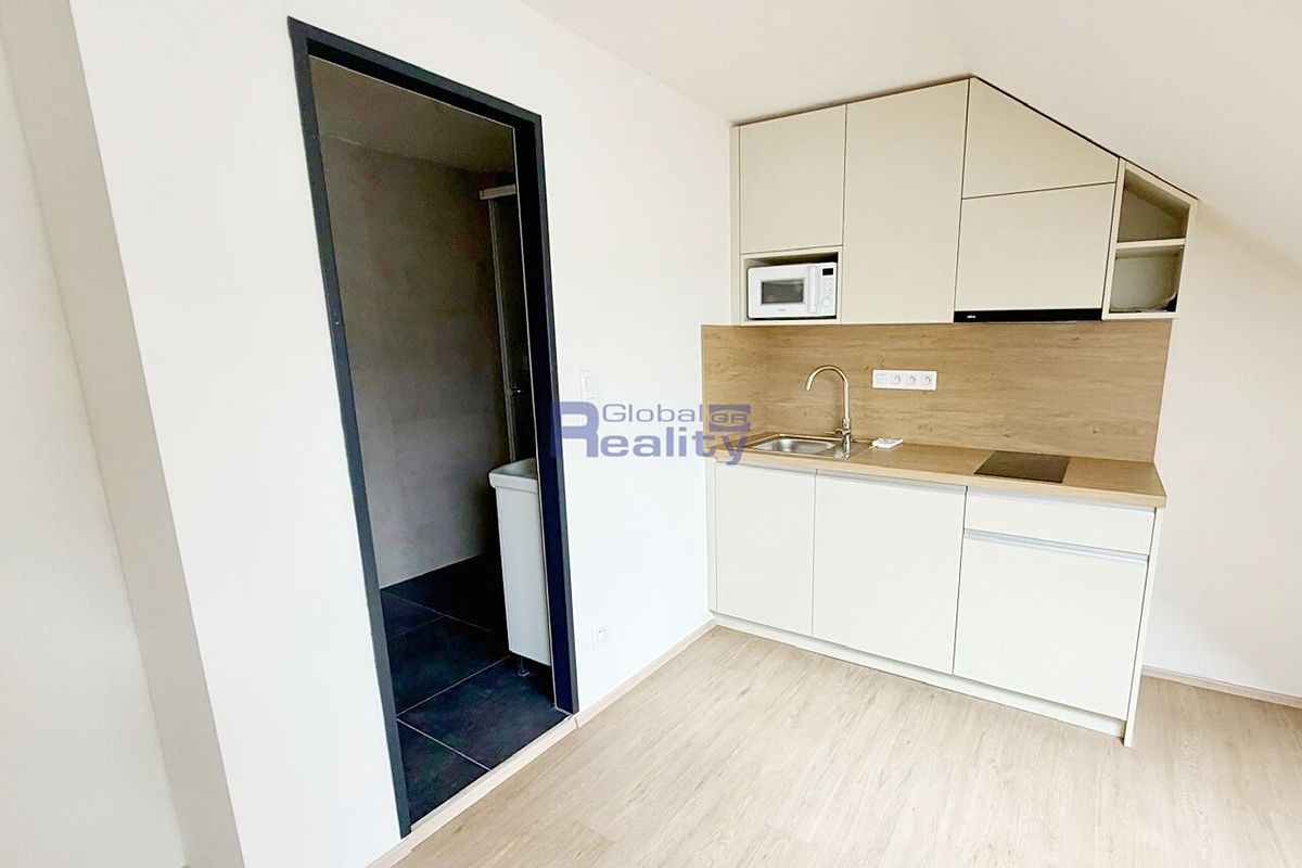 Pronájem bytu 1+kk 25 m² – fotografie 5