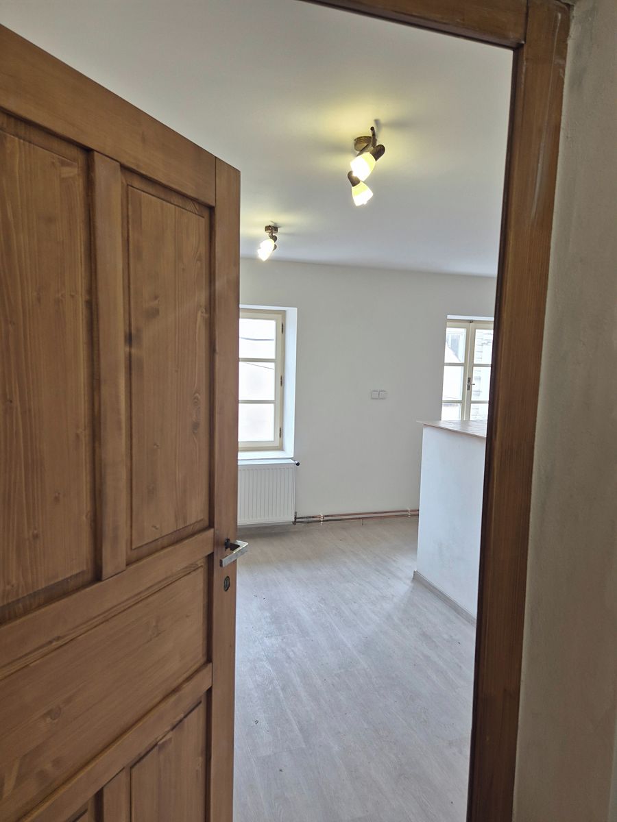 Pronájem bytu 1+1 42 m² – fotografie 3