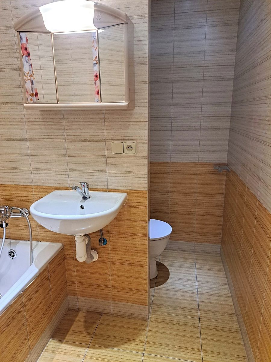 Pronájem bytu 1+kk 29 m² – fotografie 4