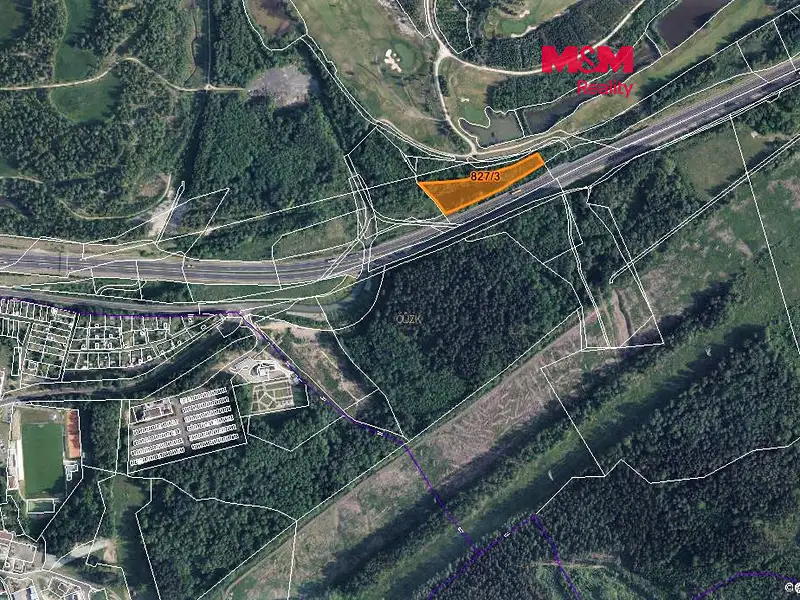 Prodej lesa 5543 m², Dolní Rychnov – náhled fotky 1