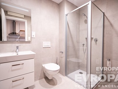 Pronájem bytu 2+1, 44 m² (3 z 8)