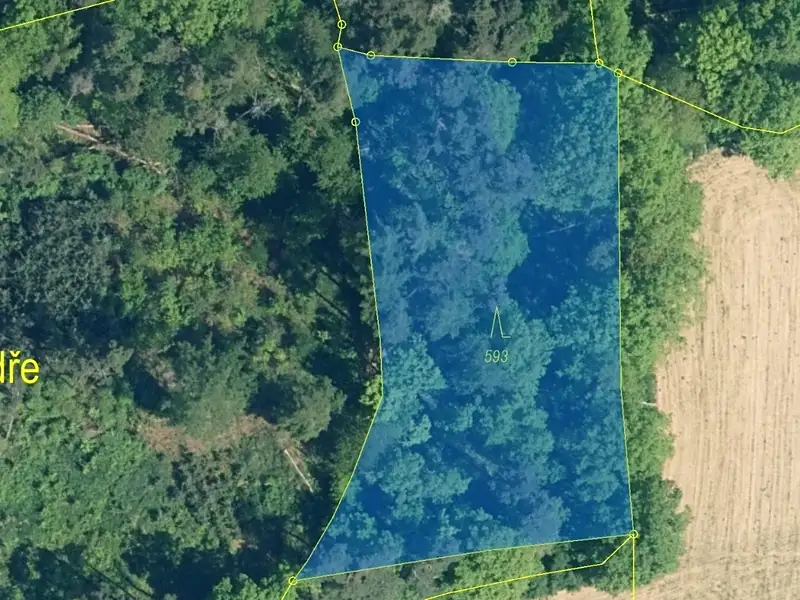 Dražba lesa 2226 m², Hradiště – náhled fotky 2