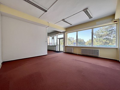 Pronájem kanceláře 250 m²