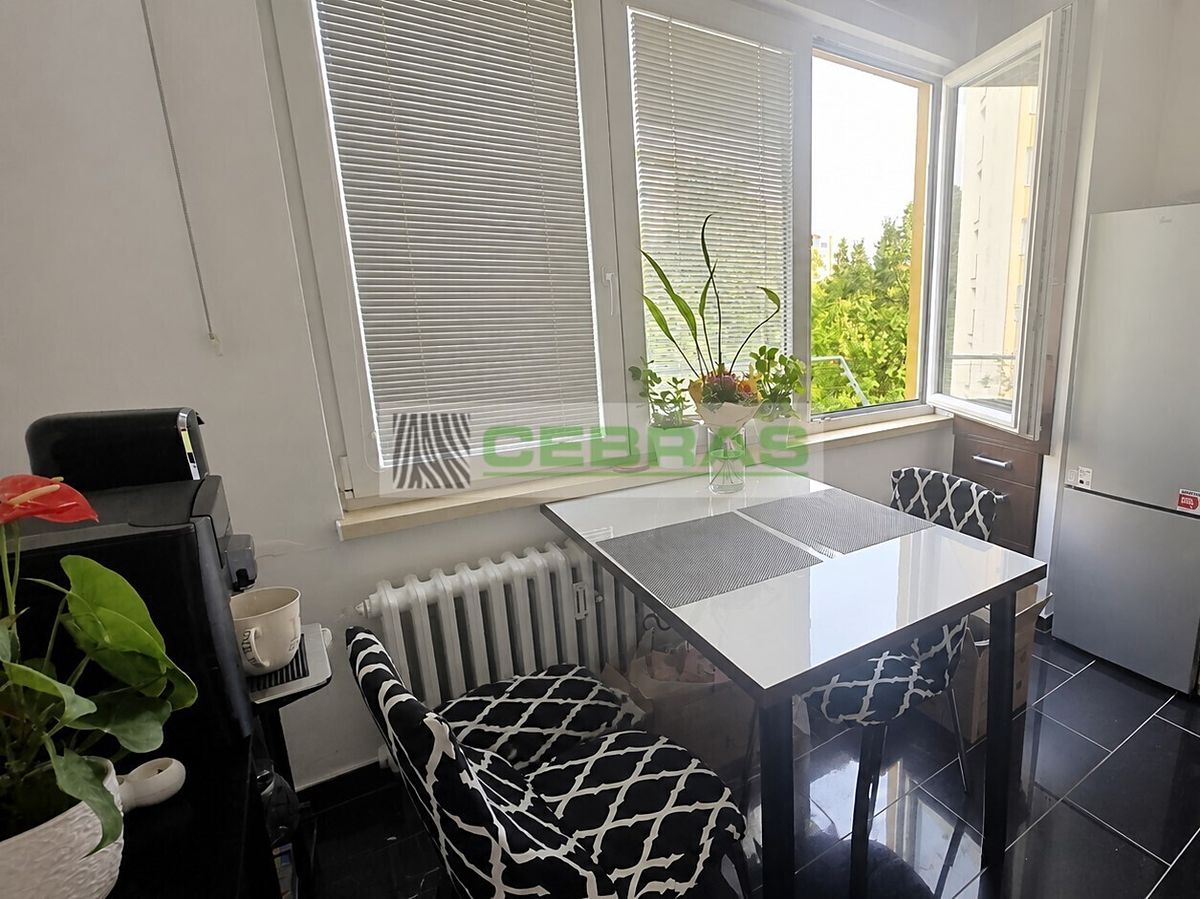 Pronájem bytu 1+kk 36 m²