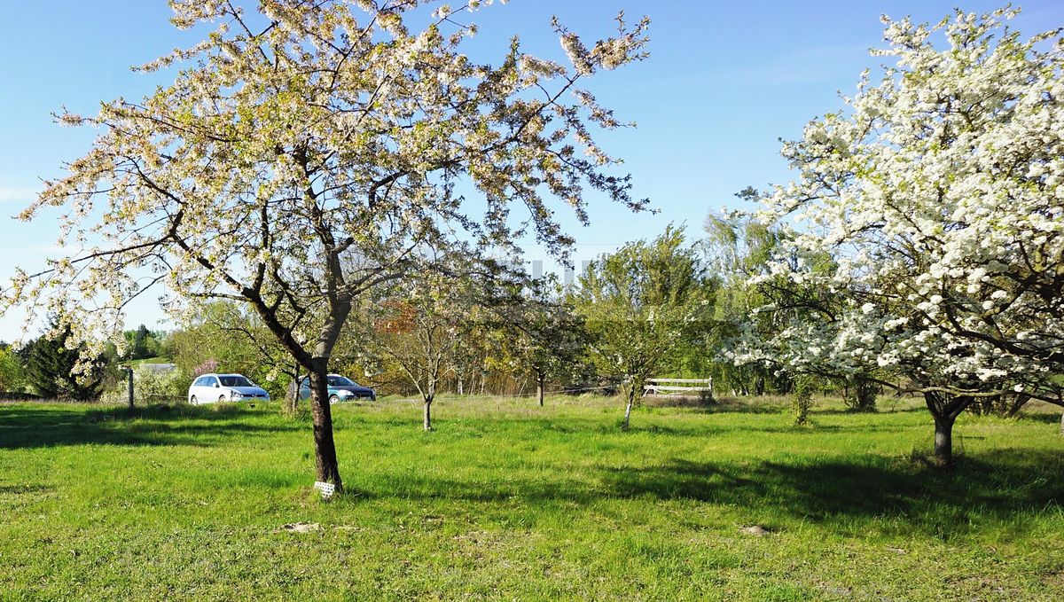 Prodej zahrady 9817 m² – fotografie 3