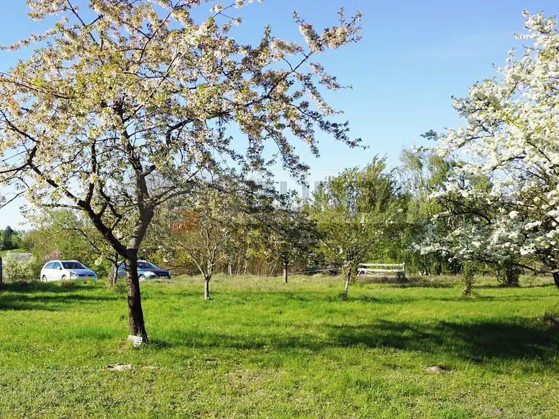 Prodej zahrady 9817 m², Mělník – náhled fotky 3