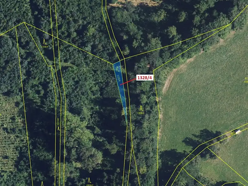 Dražba lesa 199 m², Kladky – náhled fotky 2
