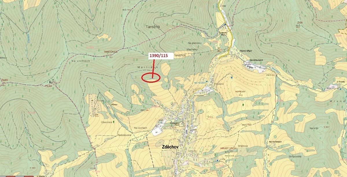 Dražba lesa 200 m², Zděchov – fotka 1 z 3