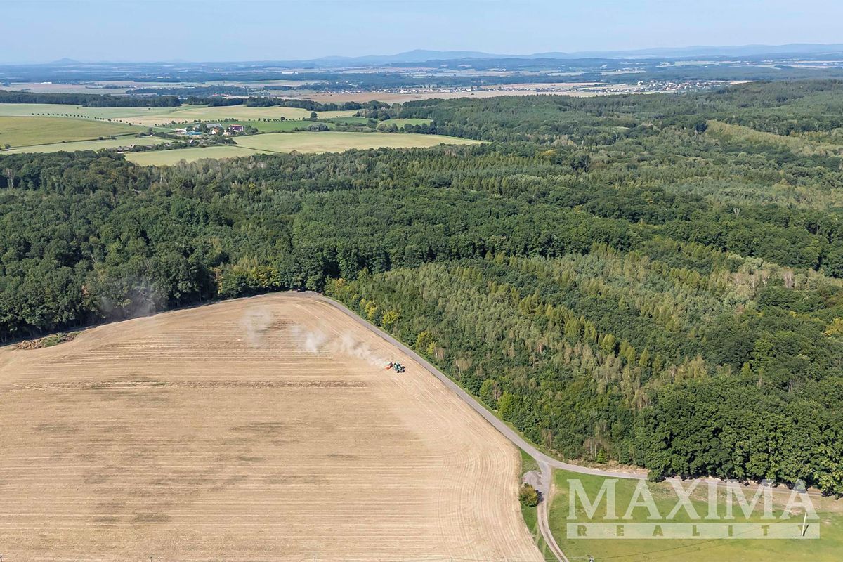 Prodej pole 3636 m² – fotografie 3