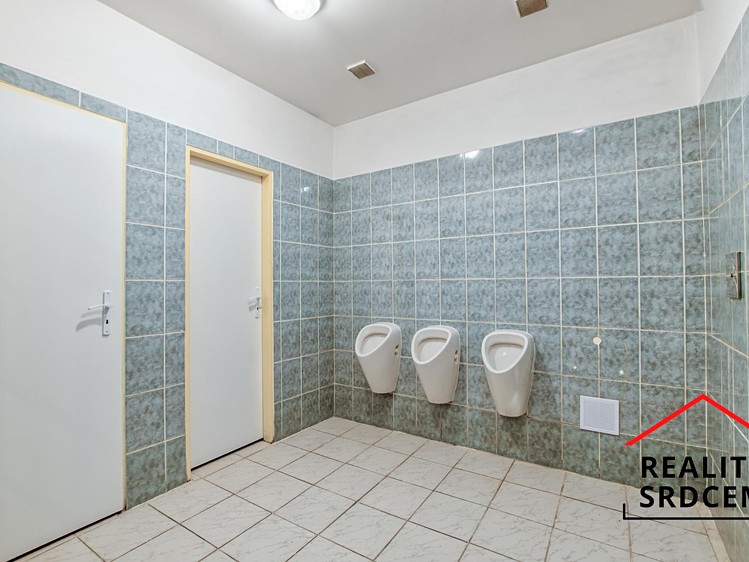 Комерційне приміщення в оренду, 167 м² (28 з 29)