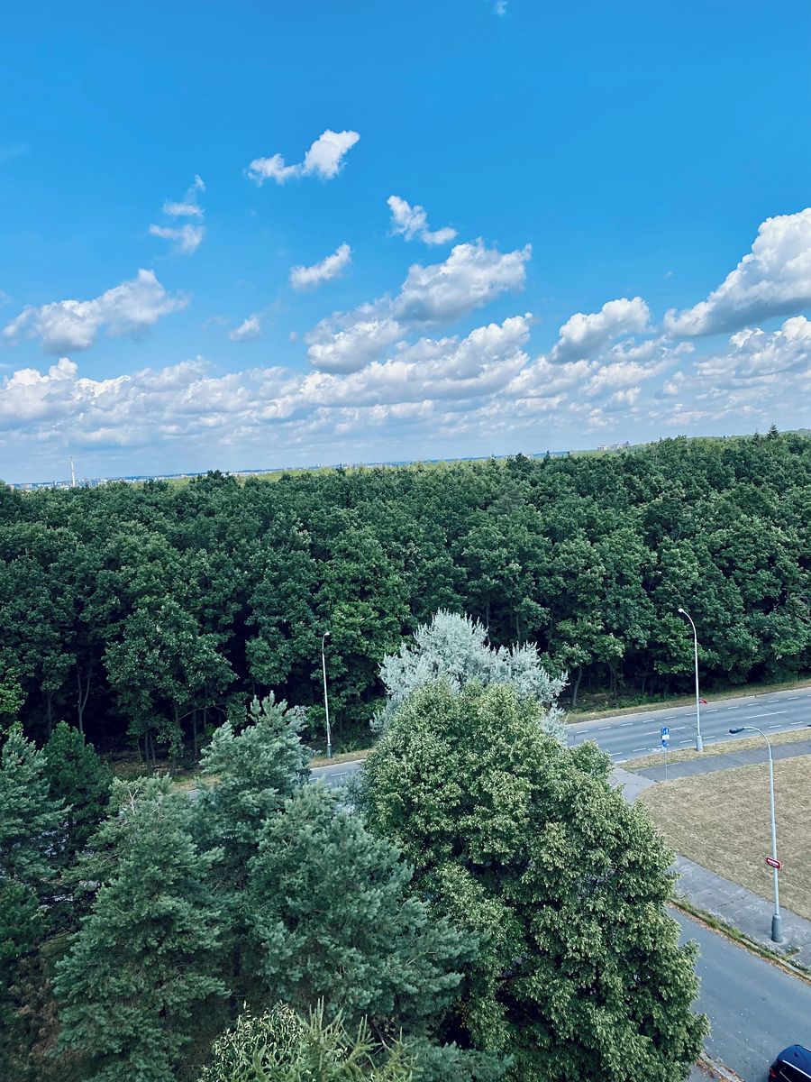 Prodej bytu 2+kk 30 m² – fotografie 2