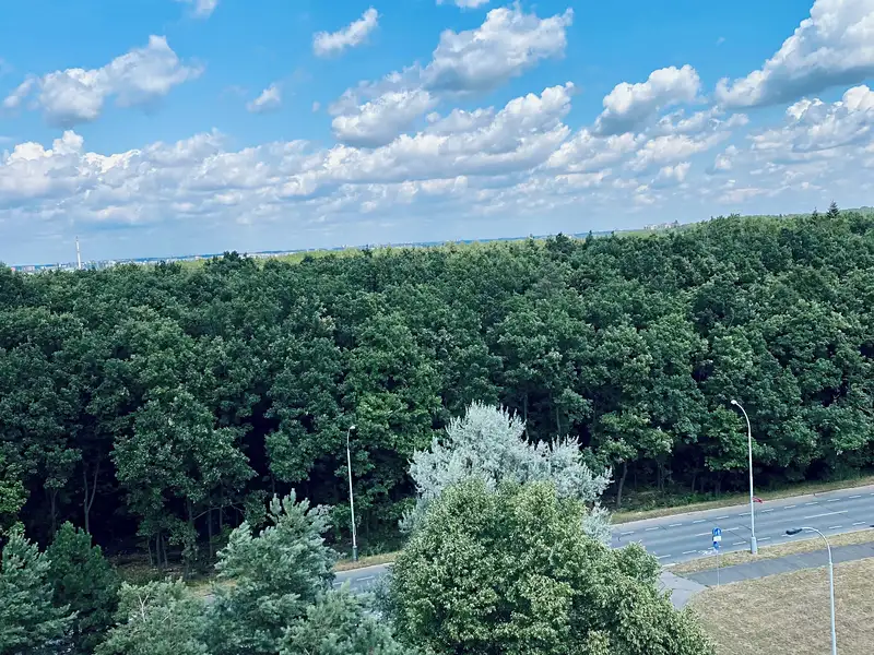 Prodej bytu 1+kk 30 m², Praha – náhled fotky 2