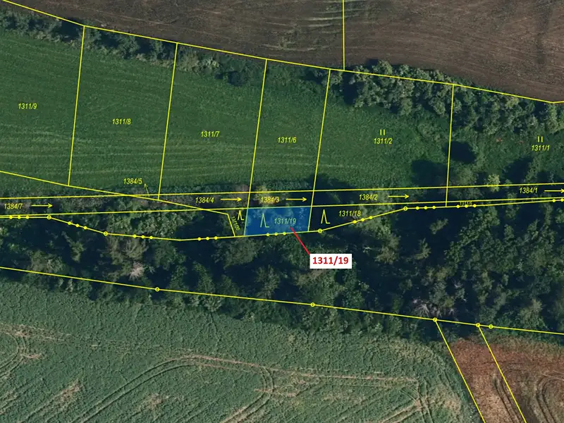 Dražba lesa 154 m², Myslibořice – náhled fotky 2