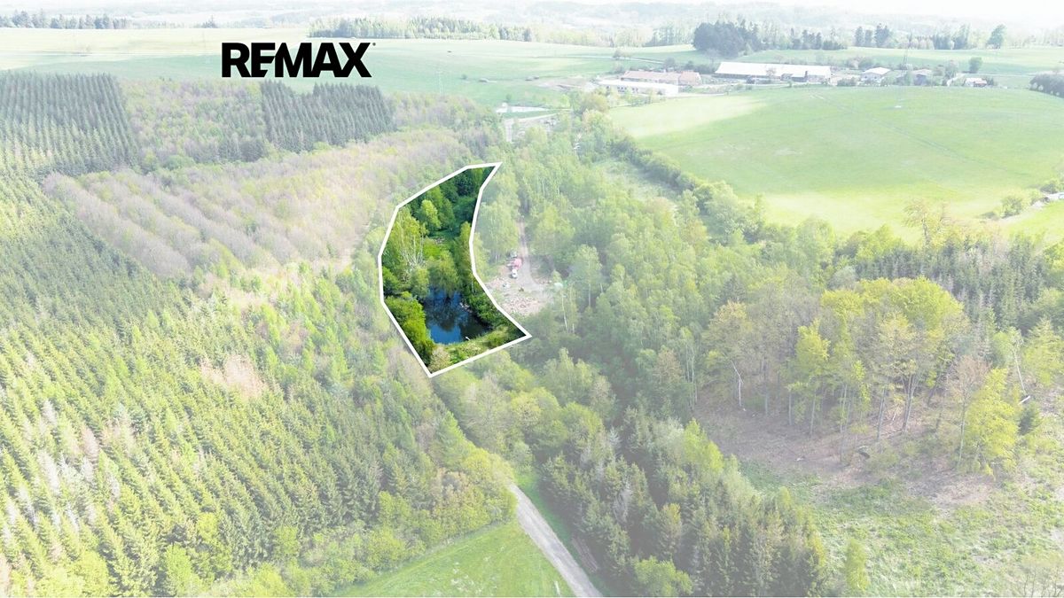 Prodej rybníku (vodní plochy) 8716 m² – fotografie 3