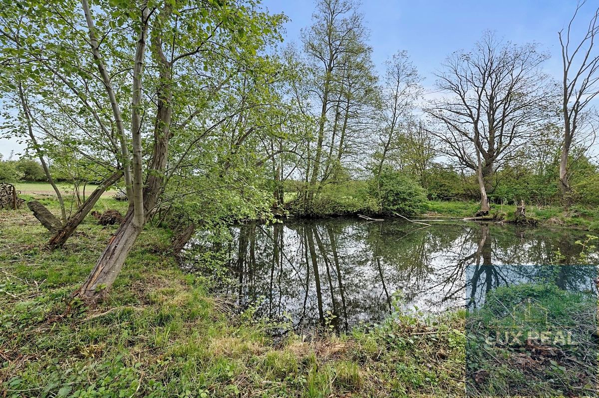 Prodej zemědělské usedlosti 2953 m², pozemek 11472 m² – fotografie 4