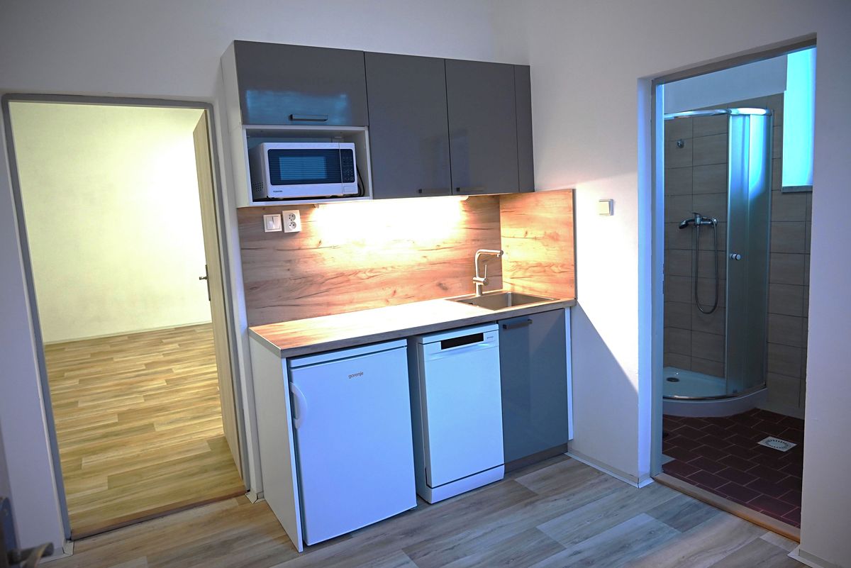 Pronájem výrobní haly, prostoru 249 m² – fotografie 2