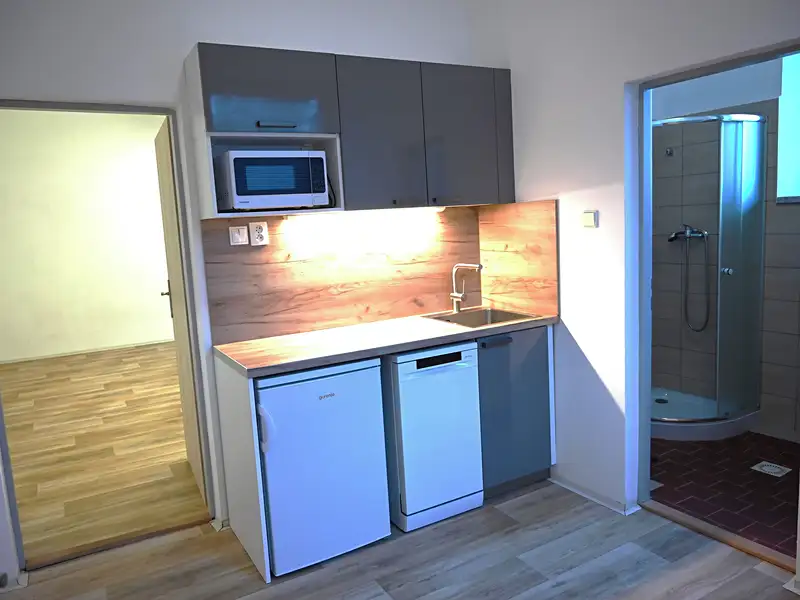 Pronájem výrobní haly, prostoru 249 m², Bílovice nad Svitavou – náhled fotky 2