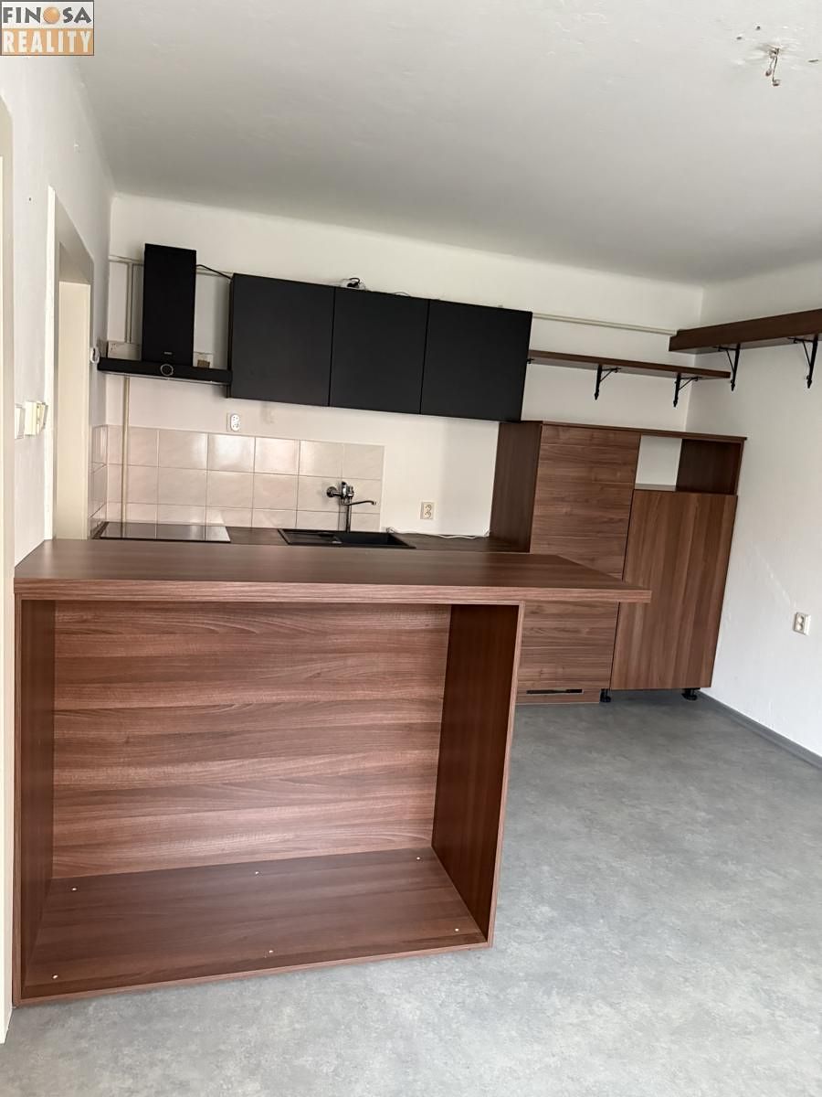 Pronájem bytu 1+1 57 m² – fotografie 2