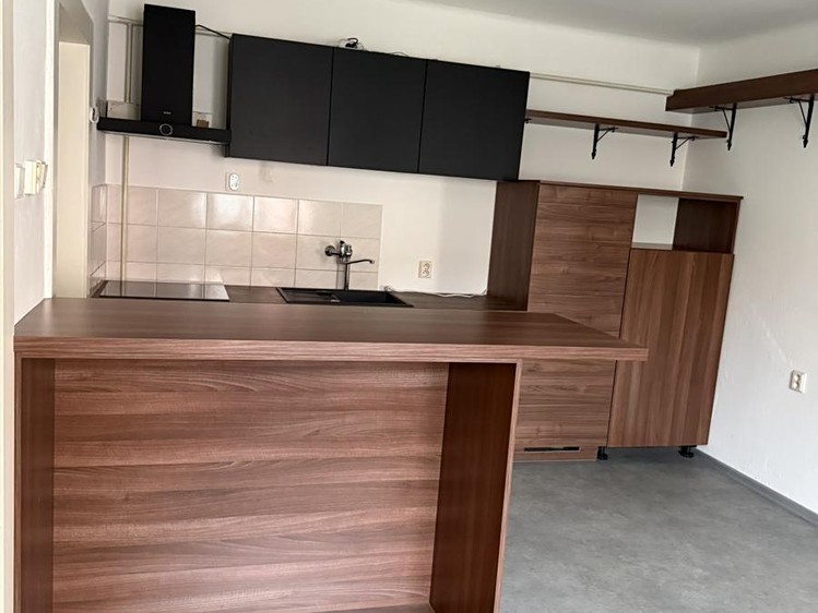 Квартира 1+1 в оренду, 57 м² (2 з 12)