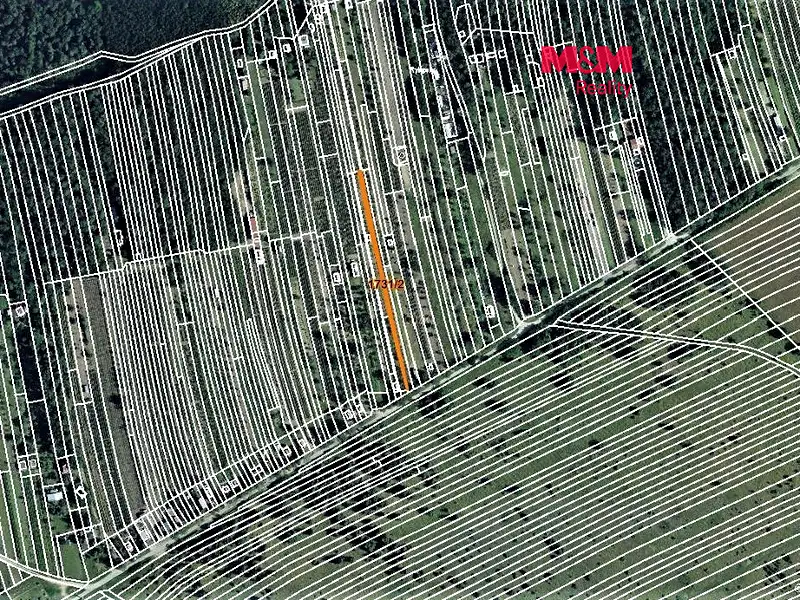 Prodej sadu, vinice 334 m², Břeclav – náhled fotky 1