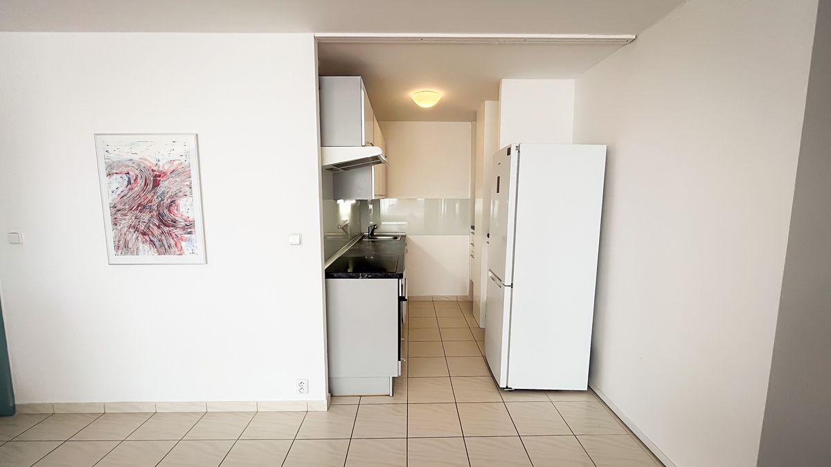 Pronájem bytu 1+kk 43 m² – fotografie 4