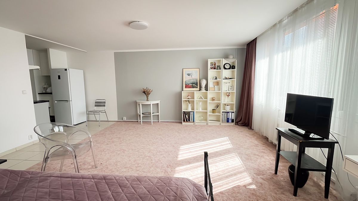 Pronájem bytu 1+kk 43 m² – fotografie 2