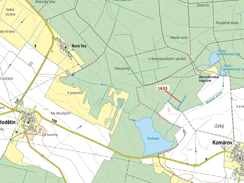 Dražba lesa 5902 m², Komárov – náhled fotky 1