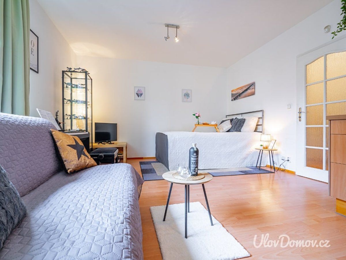 Pronájem bytu 1+kk 33 m² – fotografie 3