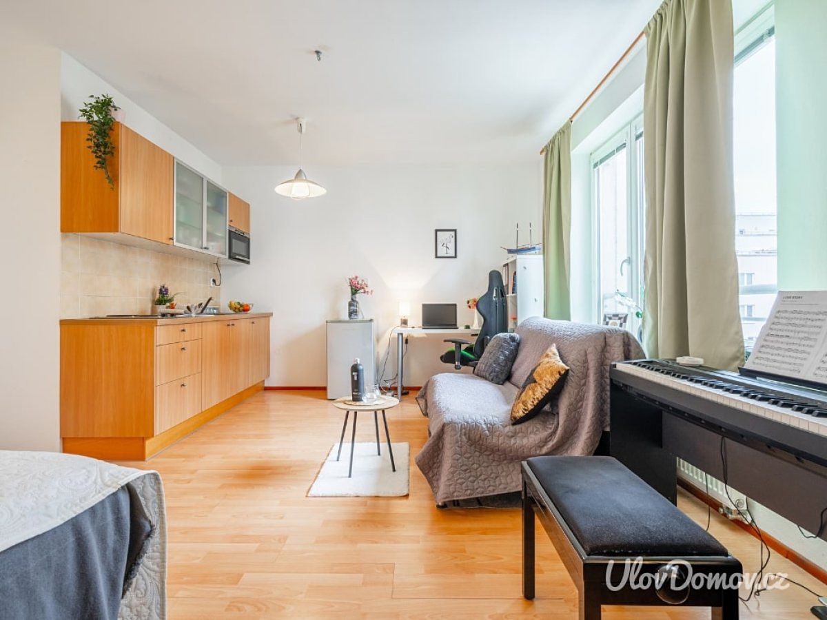 Pronájem bytu 1+kk 33 m² – fotografie 4
