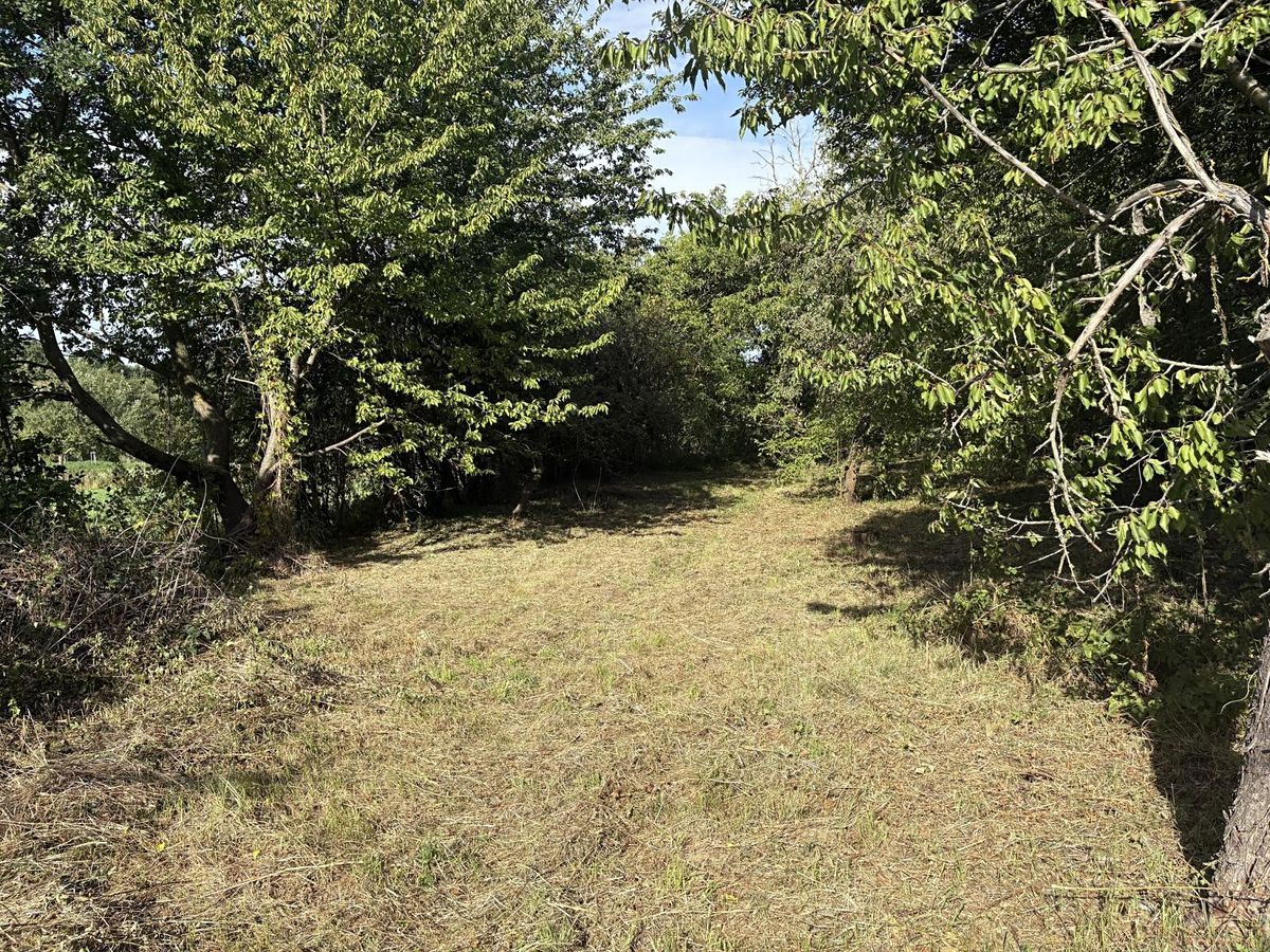 Prodej zahrady 2317 m² – fotografie 2