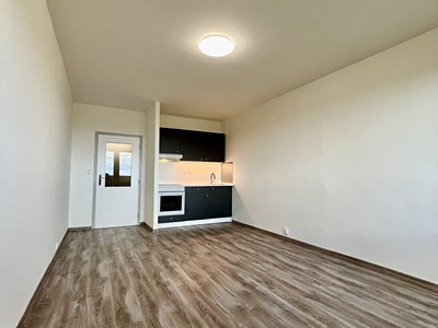 Квартира 1+kk в оренду, 28 м² (3 з 13)