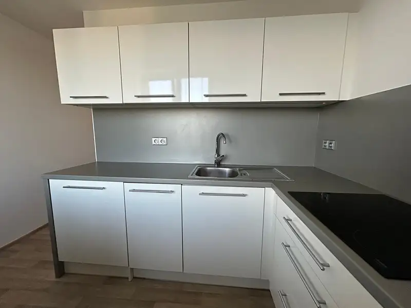 Pronájem bytu 3+1 63 m², Opava – náhled fotky 1
