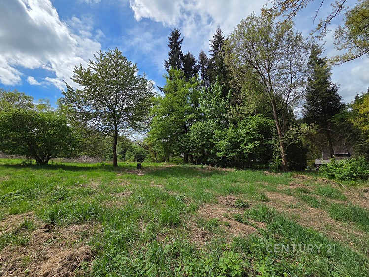 Grundstück zum Kauf, 1.217 m² (7 von 12)