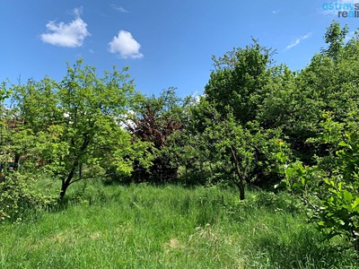 Grundstück zum Kauf, 1.500 m² (2 von 9)