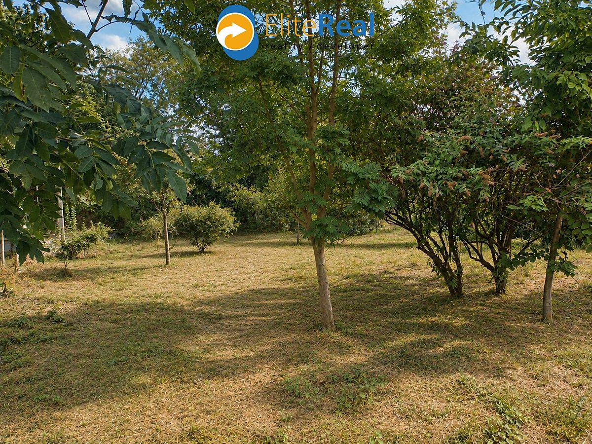 Prodej stavebního pozemku 559 m² – fotografie 3