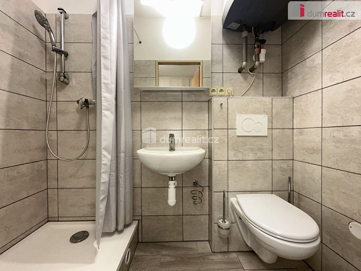 Pronájem bytu 1+1 30 m² – fotografie 5