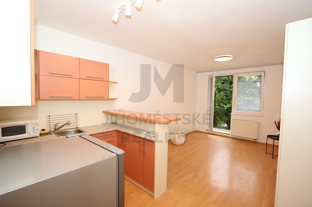 Pronájem bytu 1+kk 29 m² – fotografie 2