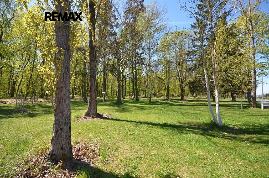 Pronájem zahrady 800 m² – fotografie 3